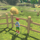 A figure looks out on a lovely fenced-in Pokemon pasture, with a few creatures milling about inside.